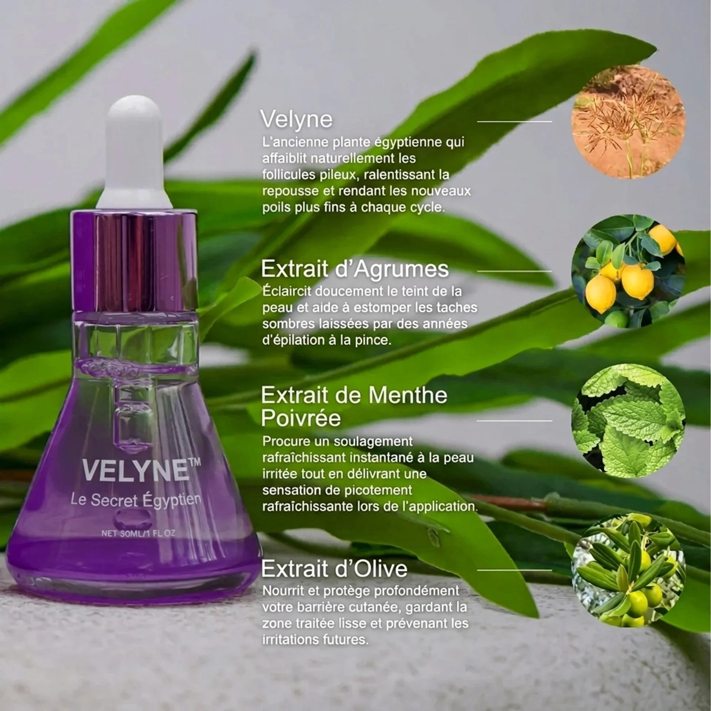 VELYNE™ — Sérum Végétal Égyptien Anti-Repousse