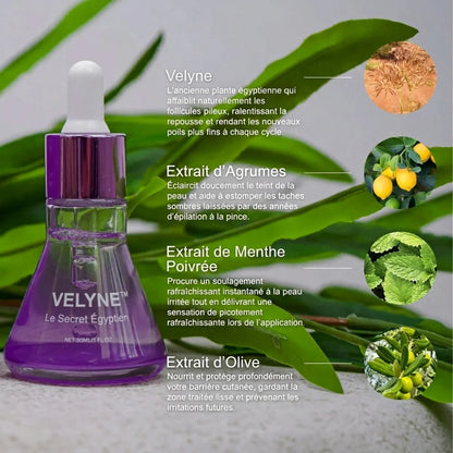 VELYNE™ — Sérum Végétal Égyptien Anti-Repousse